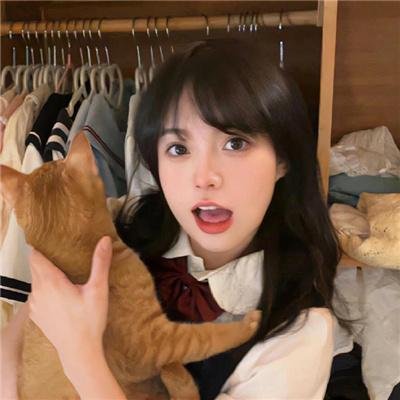 义胆骑士